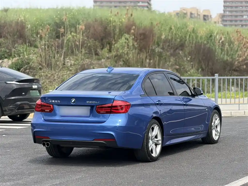 BMW 3 Series 2017 320Li M Sport фото 22