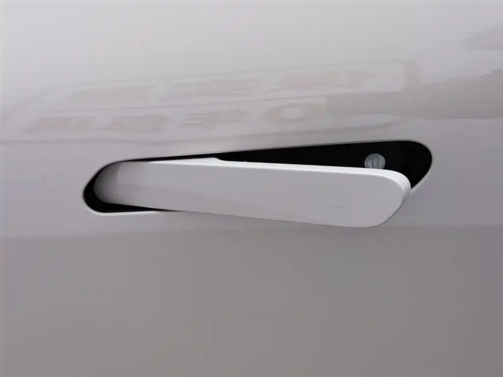 ARCFOX EXTREME FOX POLAR FOX ALPHA S5