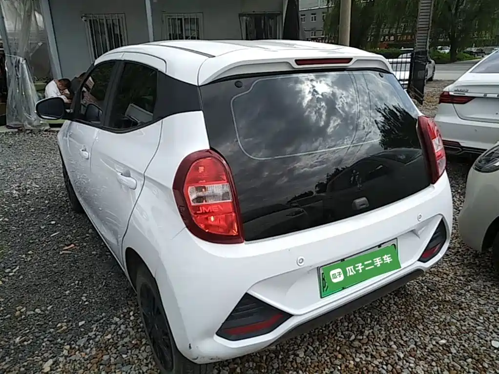 JMCG New Energy Little Kirin 2024 2024 201km Comfort Model