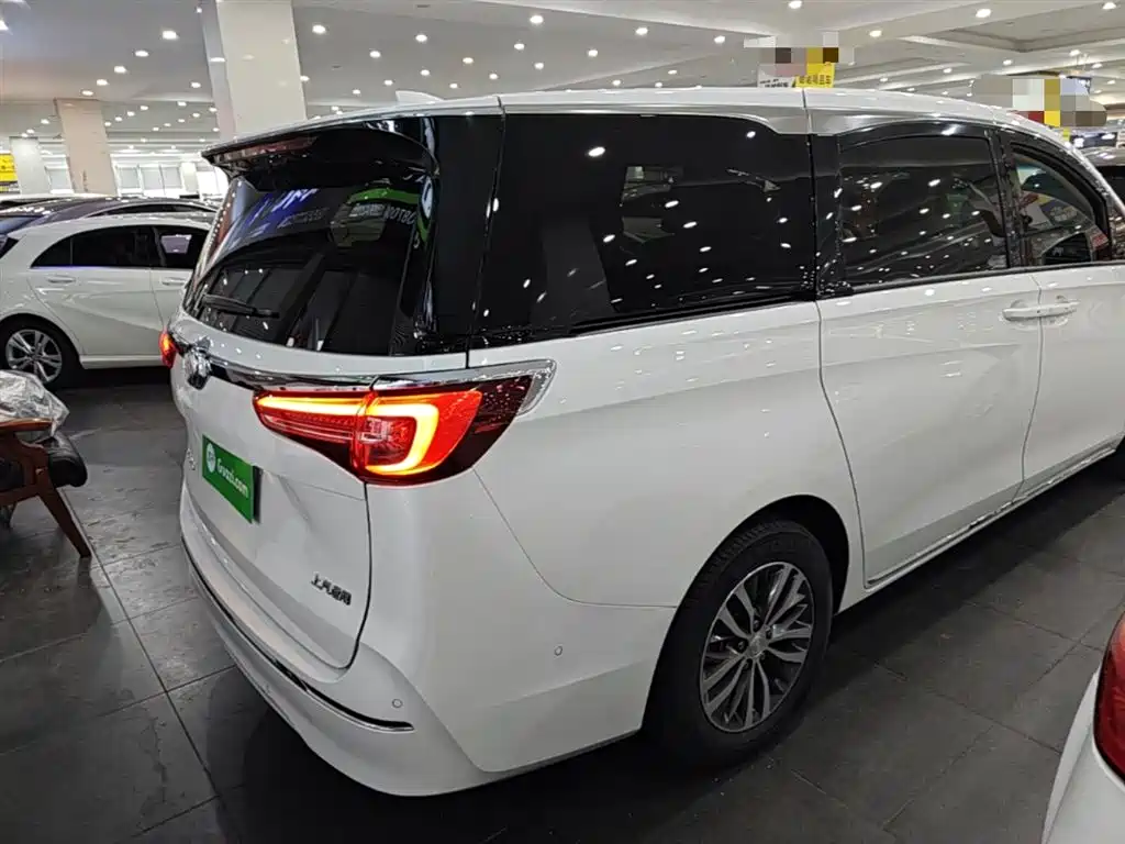 Buick GL8 2023 ES Landmaster Exclusive фото 7
