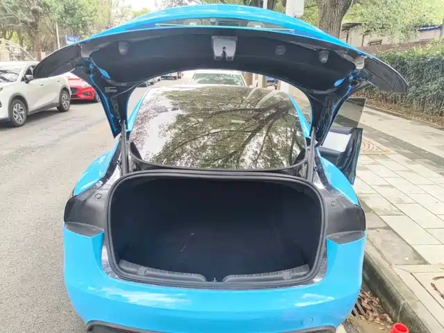 Tesla Model 3 2025 Model Rear-Wheel Drive Edition — фото 5
