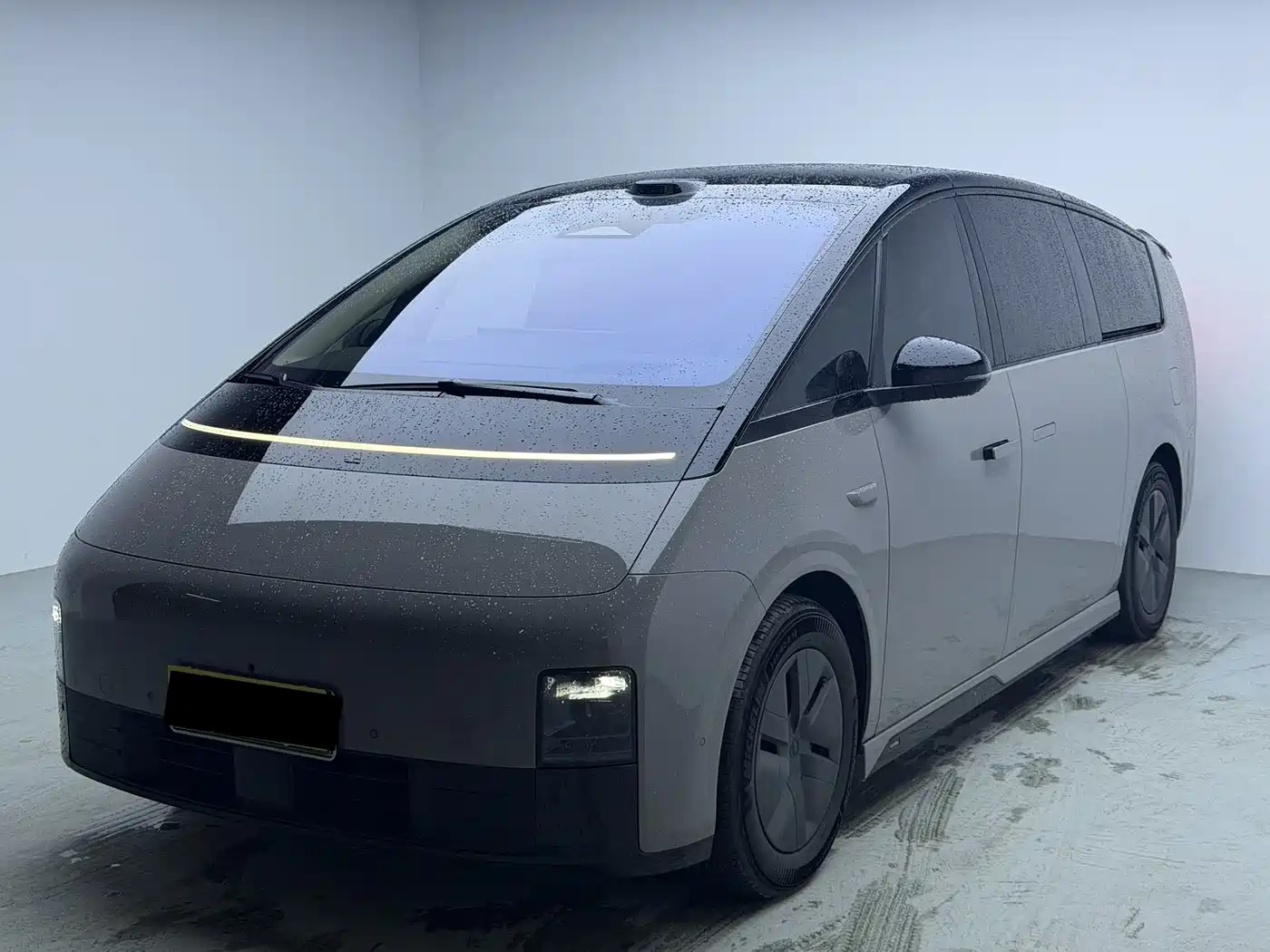 Li Auto MEGA 2025 Model Home Family Special Edition