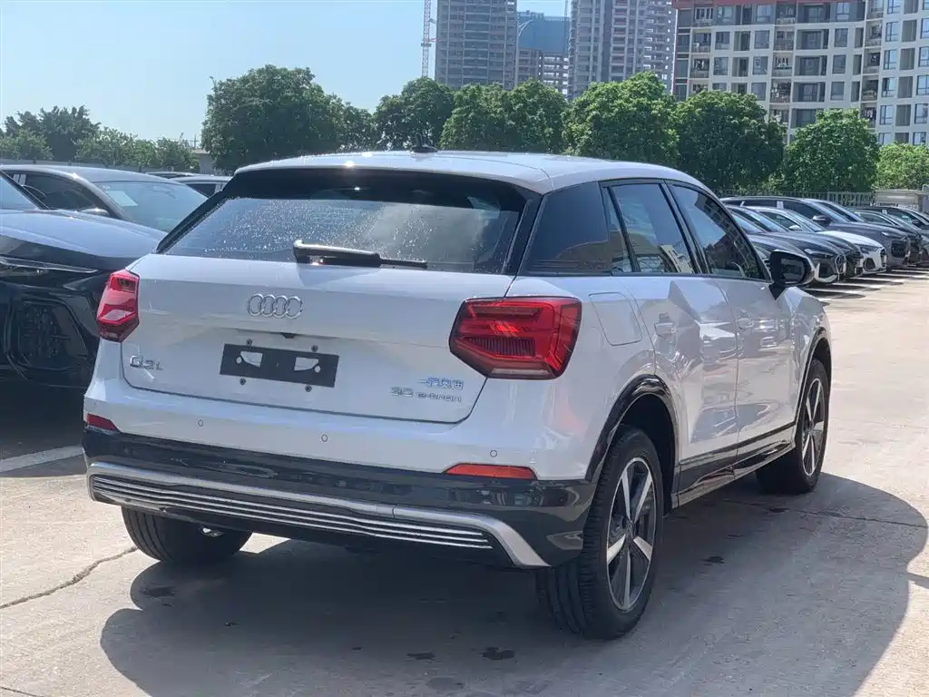 Audi Q2L e-tron 2019 Q2L e-tron Pure Electric Smart Enjoyment фото 4