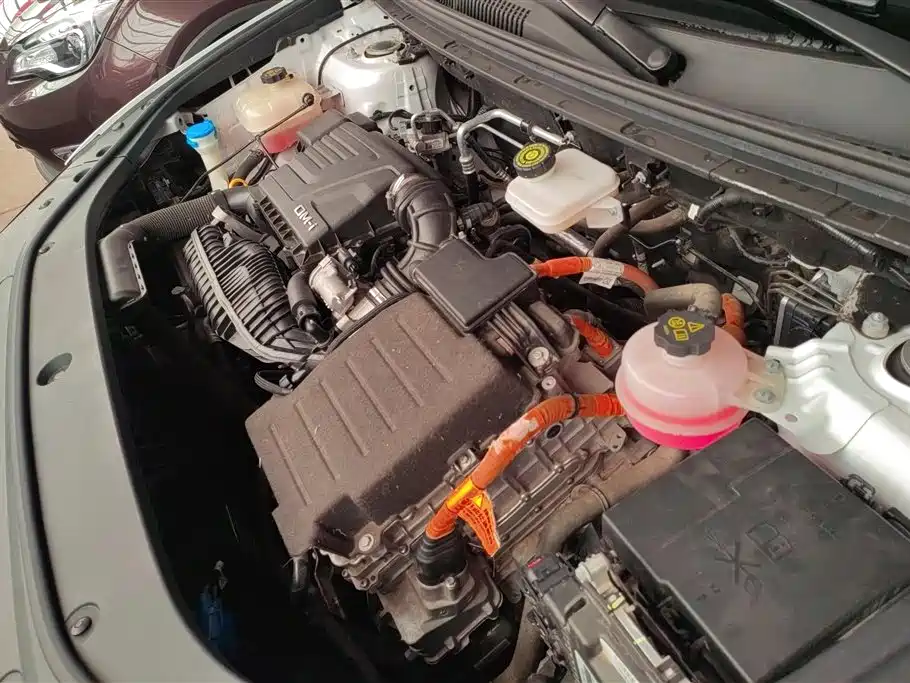BYD Song Pro New Energy 2022 DM-i 51km Premium фото 10