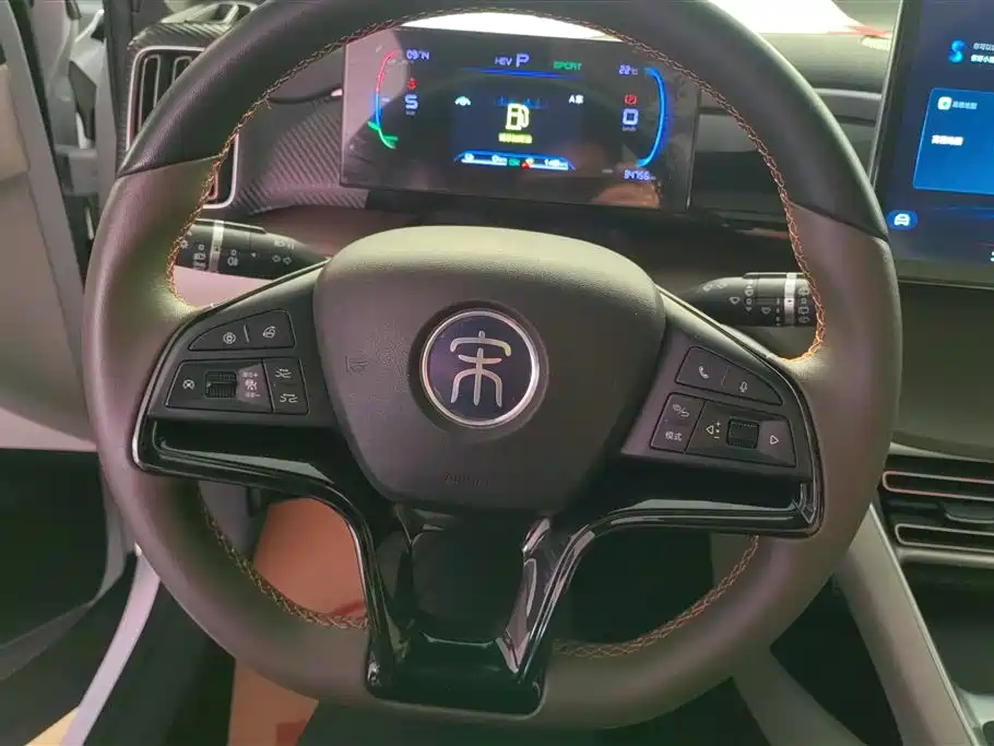 BYD Song Pro New Energy 2022 DM-i 51km Premium фото 15