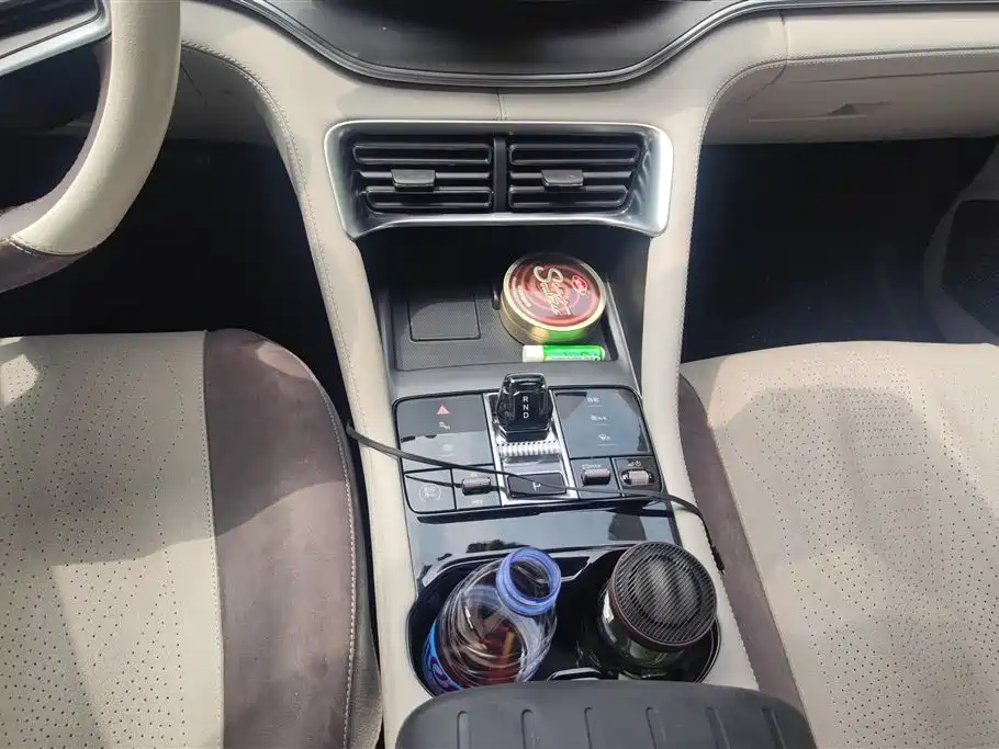 BYD SONGJIANG NEW ENERGY