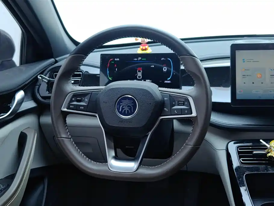 BYD Qin PLUS 2024 Glory Edition DM-i 55KM Leading фото 15
