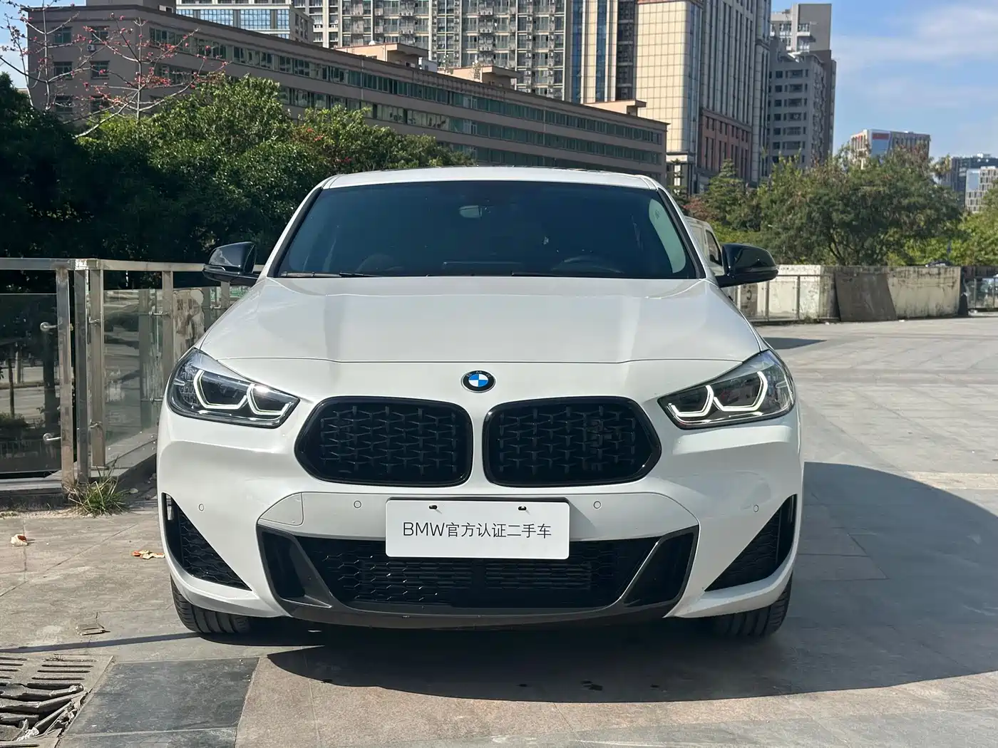 BMW X2