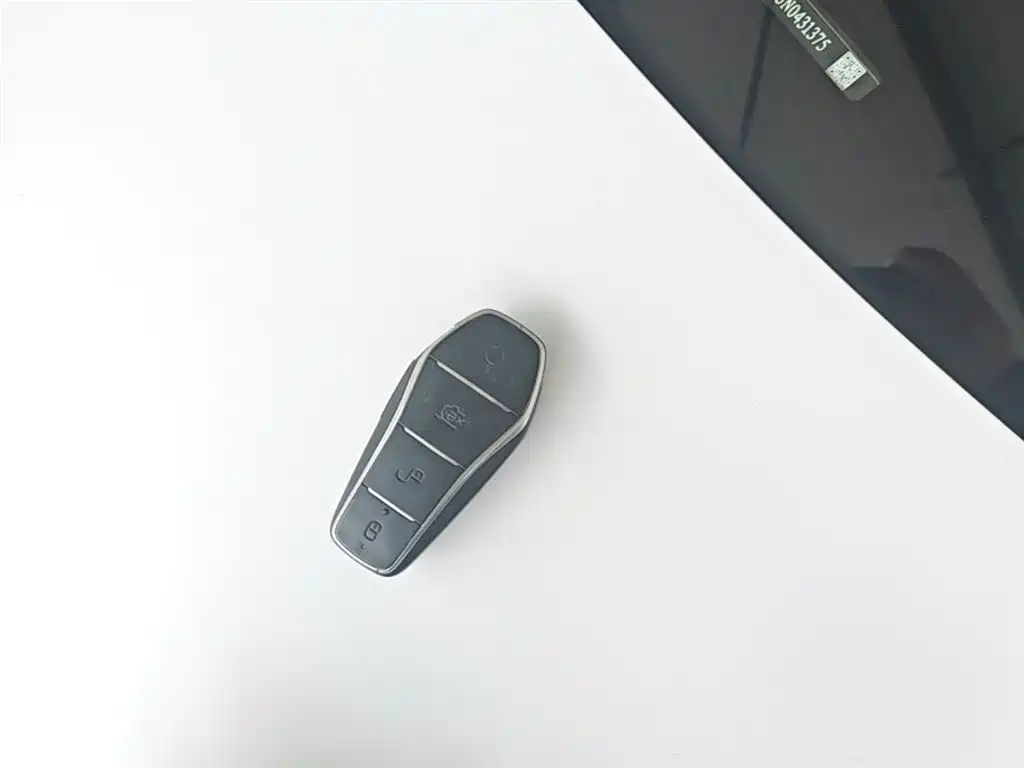 BYD Destroyer 05 2024 Glory Edition DM-i 55KM Luxury фото 9