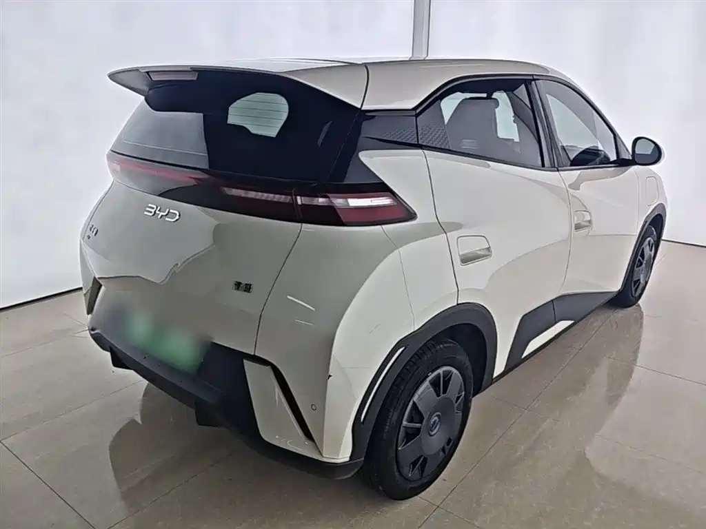 BYD Seagull 2024 Glory Edition 305km Vitality Edition фото 7
