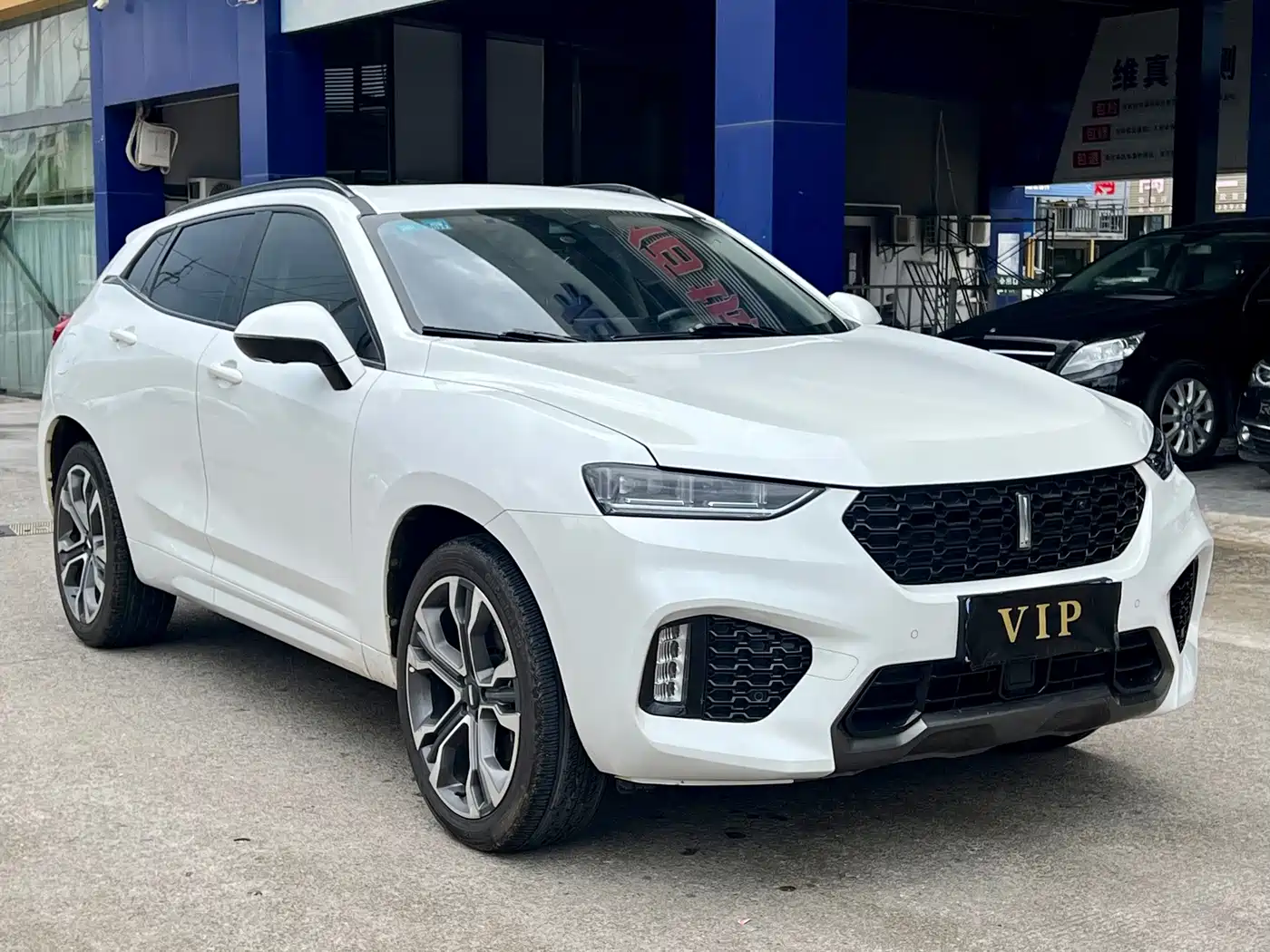 Фото 3 - WEY VV7