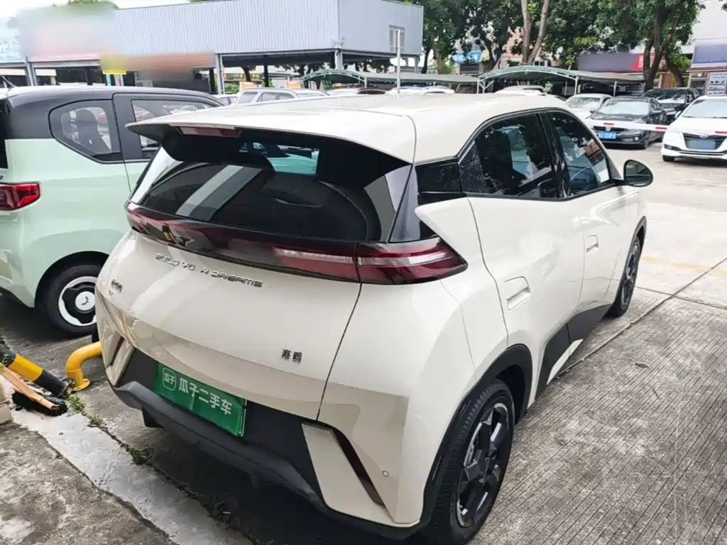 Фото 7 - BYD Seagull