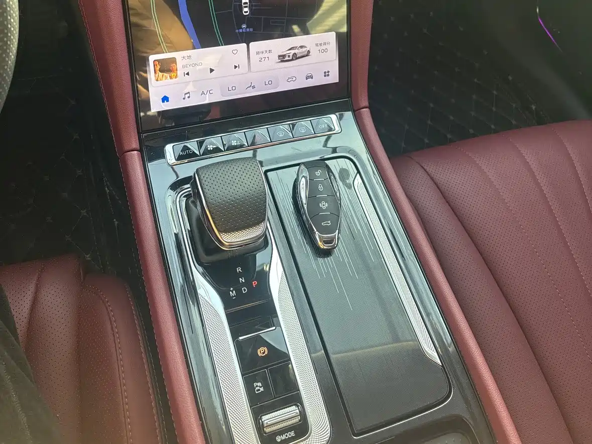 Hongqi H5 2025 2.0T Automatic Flag Celebration 500,000 Units Anniversary Edition фото 13