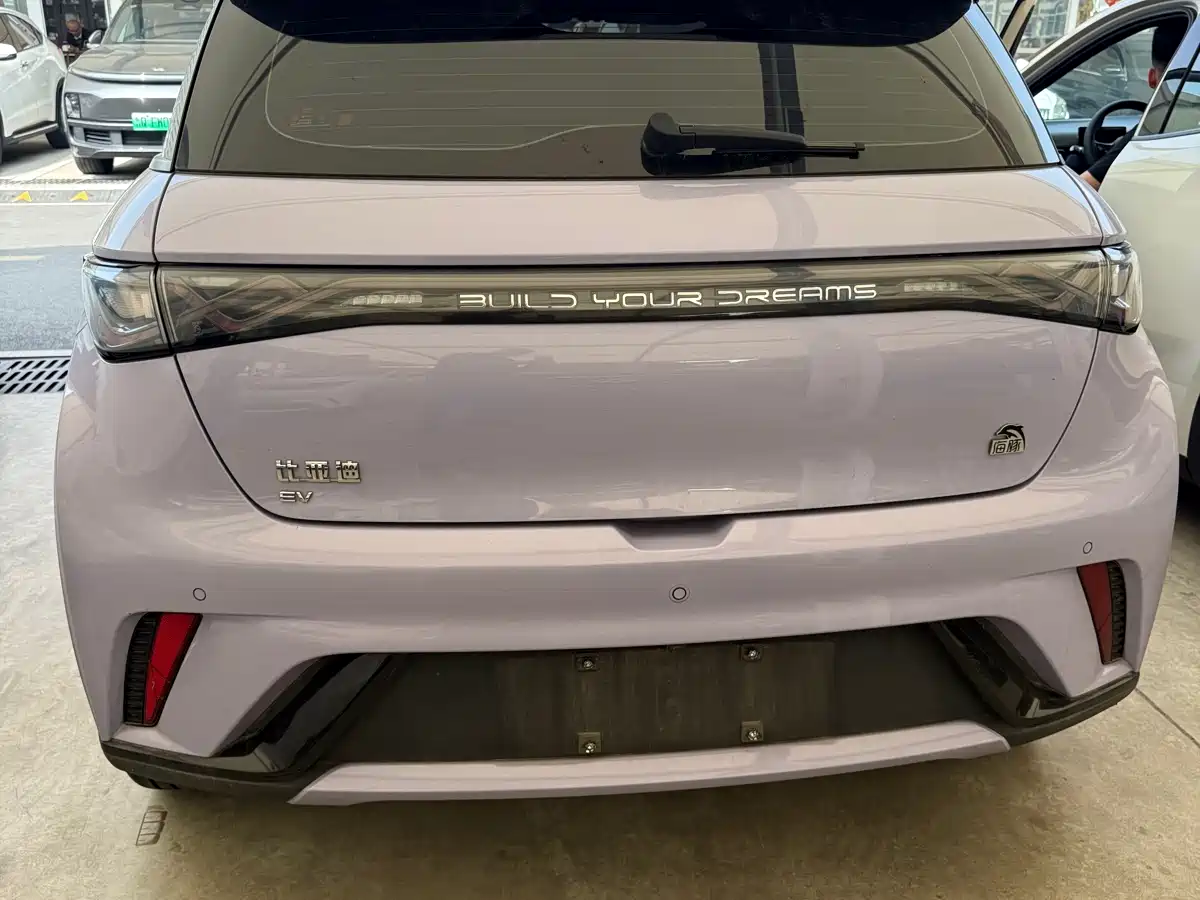 BYD Dolphin 2024 Glory Edition 420km Freedom Edition фото 8
