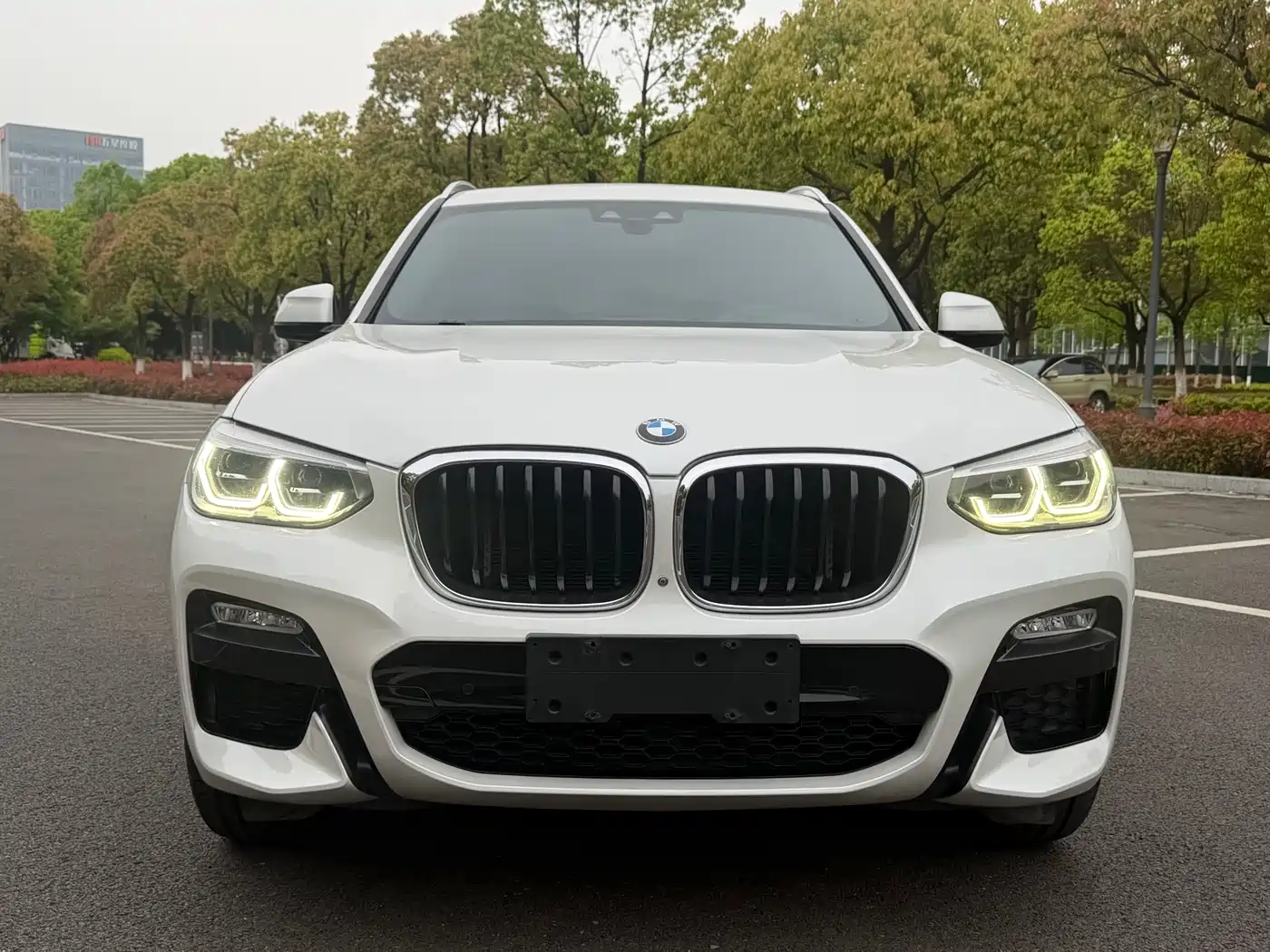 BMW X3 2018 xDrive30i Leading M Sport Package China V фото 2