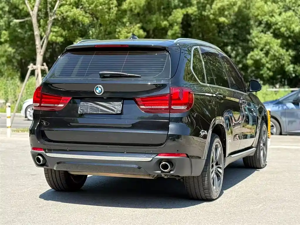 BMW X5 (Import) 2017 xDrive35i Elegance фото 4