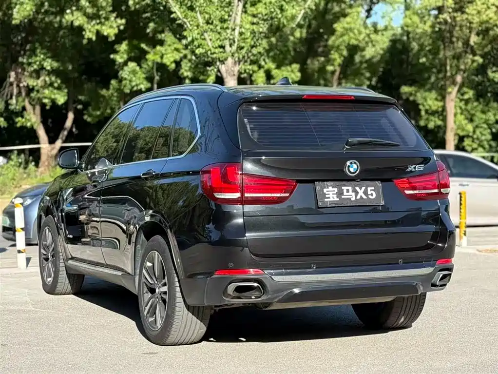 BMW X5 (Import) 2017 xDrive35i Elegance фото 6