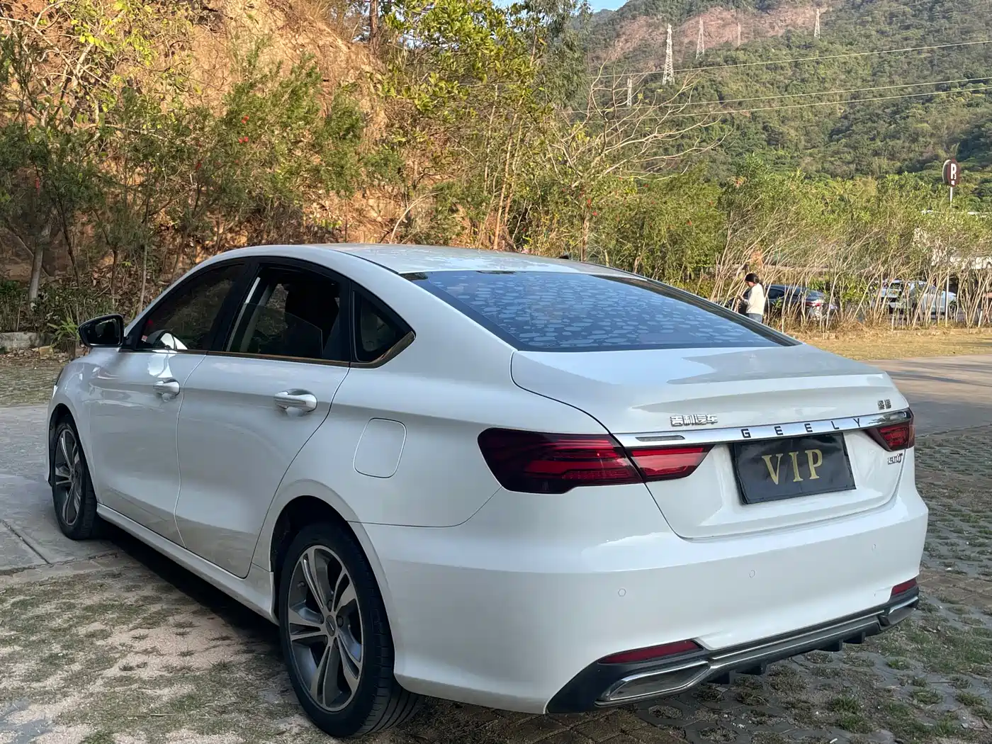 GEELY AUTOMOBILE BINRUI