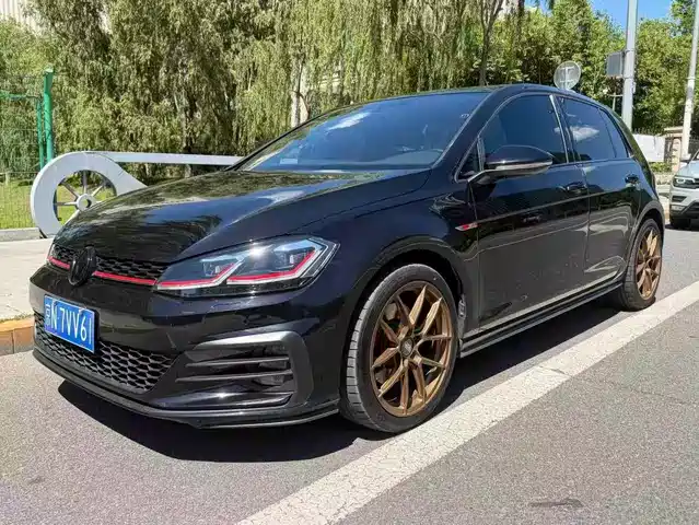 Volkswagen Golf GTI 2019 2.0TSI GTI (China V)