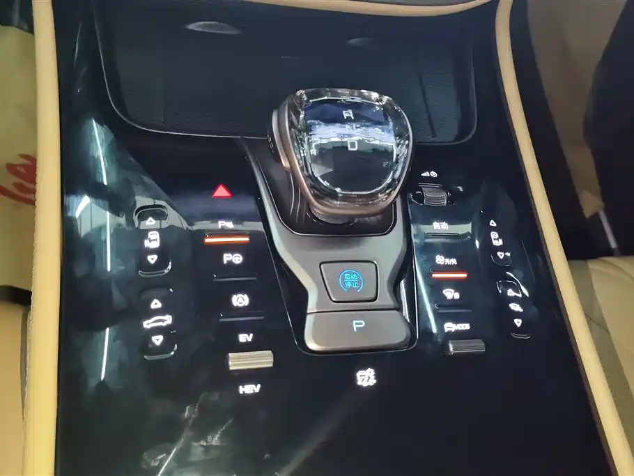 Denza D9 2022 DM-i 970 AWD Flagship фото 16
