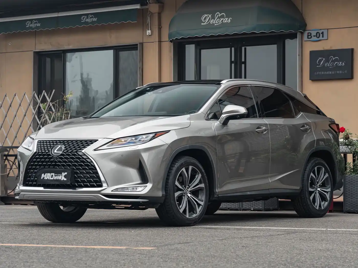 Lexus RX 2020 300 4WD Elegance Edition China VI