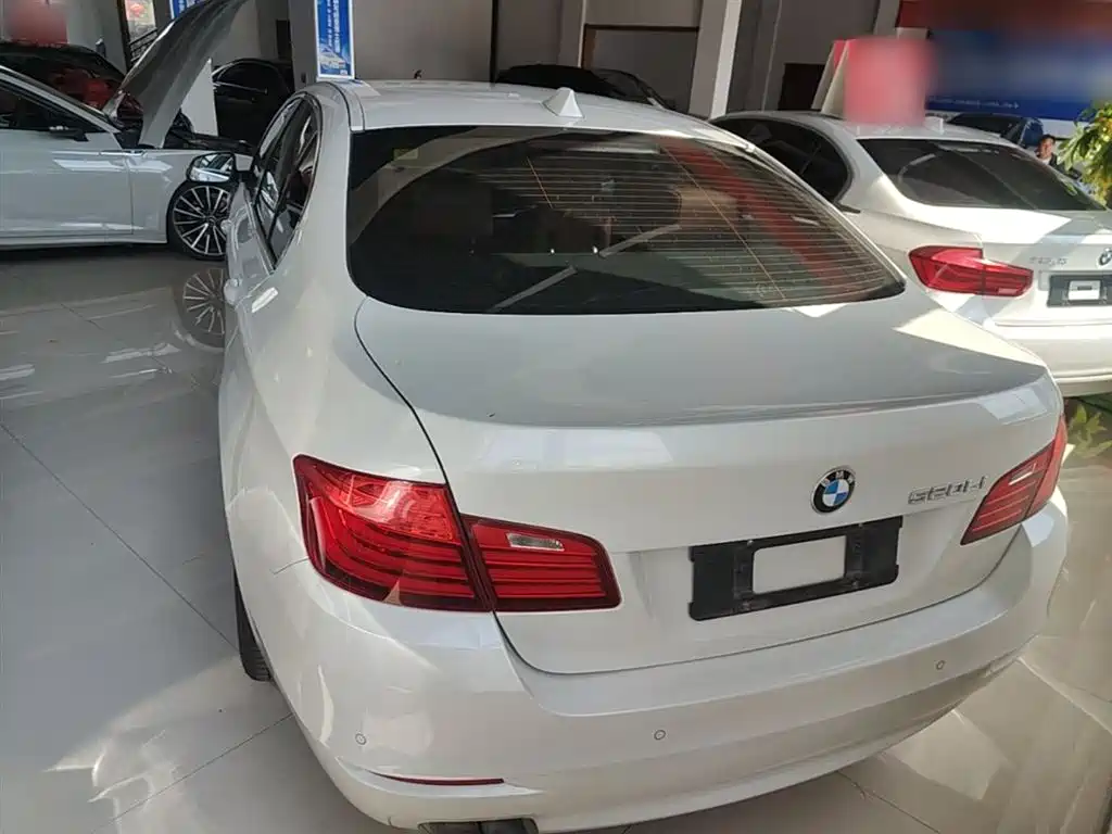 BMW 5 Series 2014 520Li Elegance фото 6