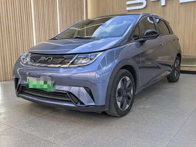 BYD Dolphin Слава, 420km, Стиль