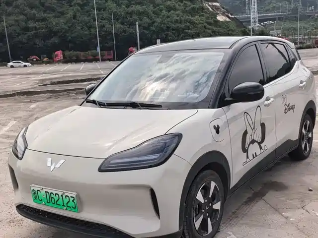 Wuling Motors Wuling Binguo PLUS 2024 Model 330km 5-Seater
