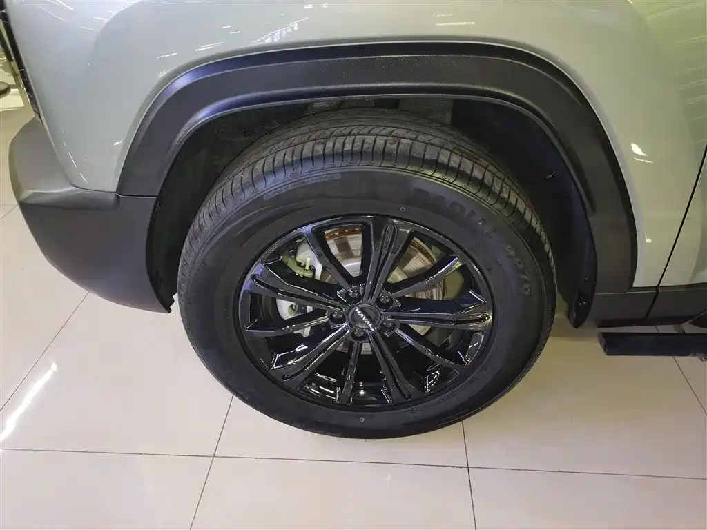 Haval Meng Long NEV 2024 Hi4 102 Pro фото 23