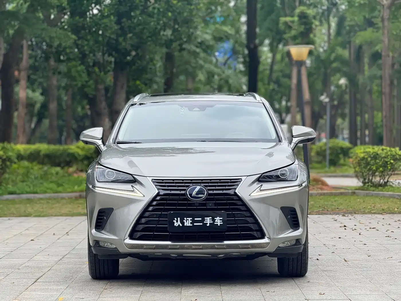Lexus NX 2018 Model 300h FWD Fengshang Edition China V фото 2