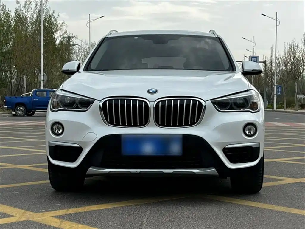 BMW X1 2019 xDrive20Li Premium Model фото 23