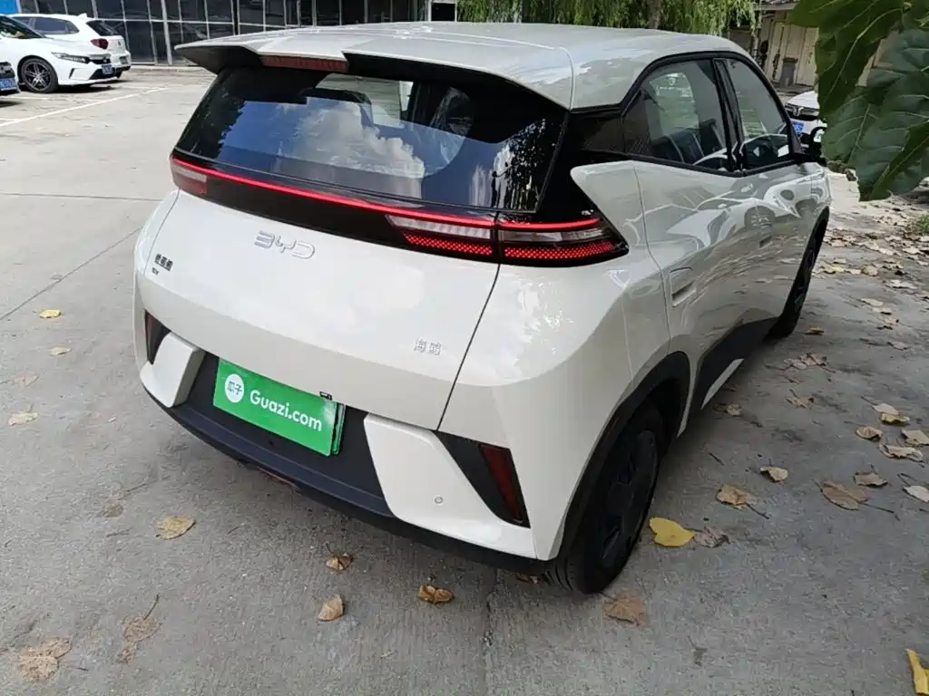BYD Seagull 2026 2025 Smart Drive Edition 305km Vitality Version
