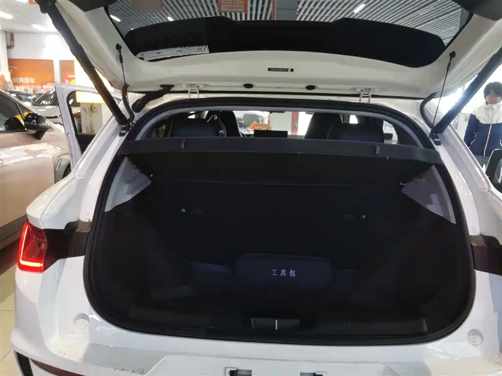 BYD E2