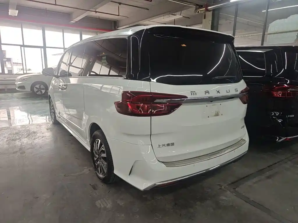 Фото 5 - Maxus G20