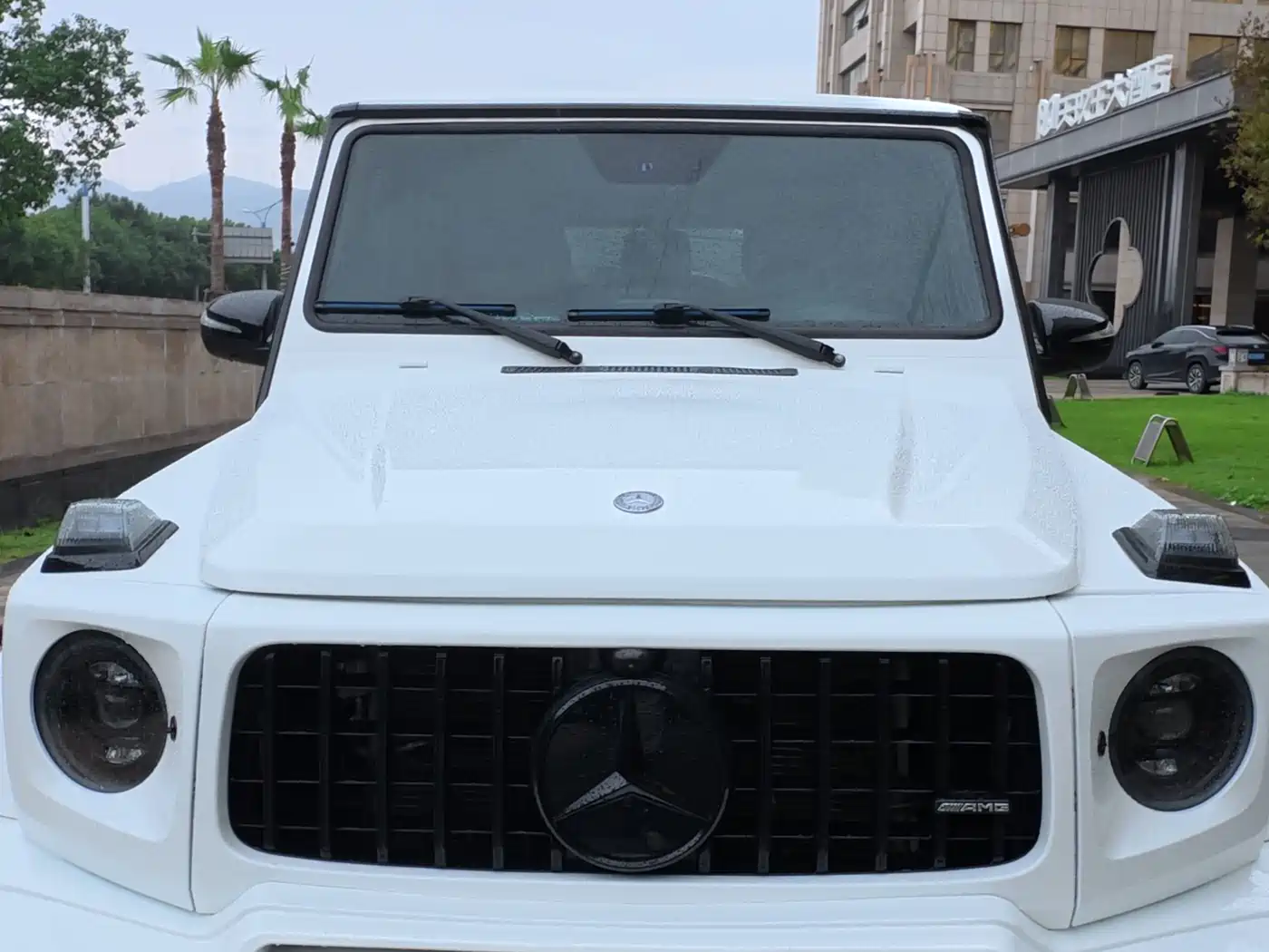 Mercedes-Benz G-Class 2016 G 500 фото 14