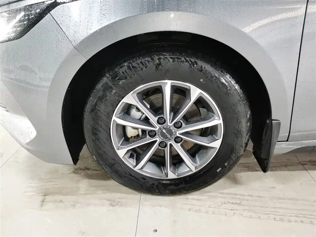 BYD Destroyer 05 2024 Glory Edition DM-i 55KM Luxury фото 25