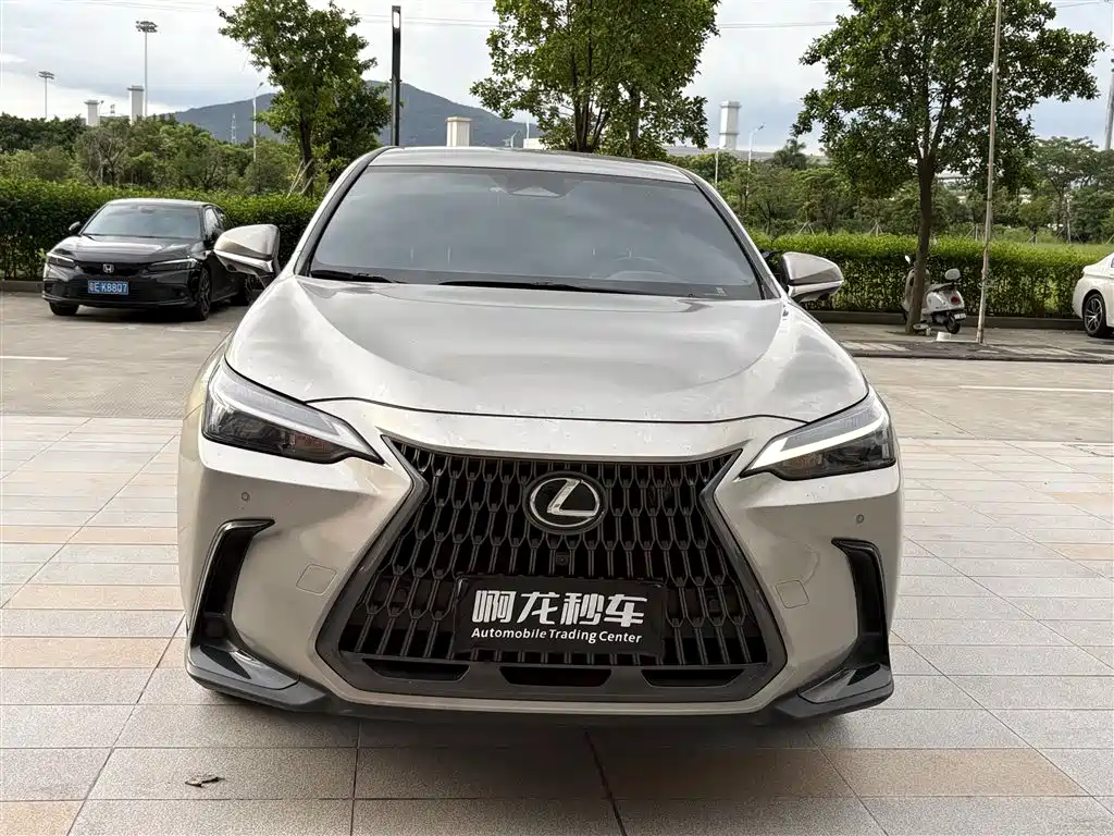 Lexus NX 2024 2024 260 FWD Innovation Edition