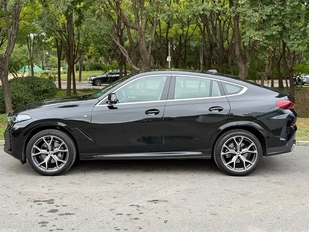 Фото 3 - BMW X6