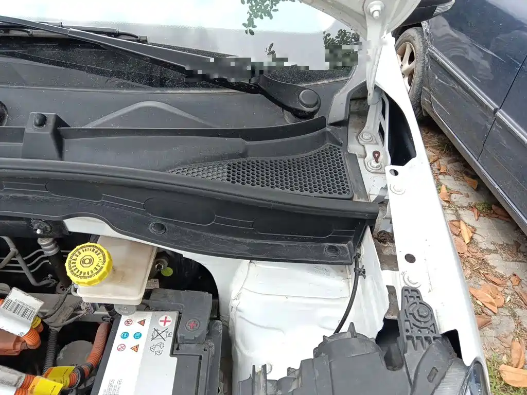 Roewe Kaiwei CLEVER 2020 2021 302km All-round Edition