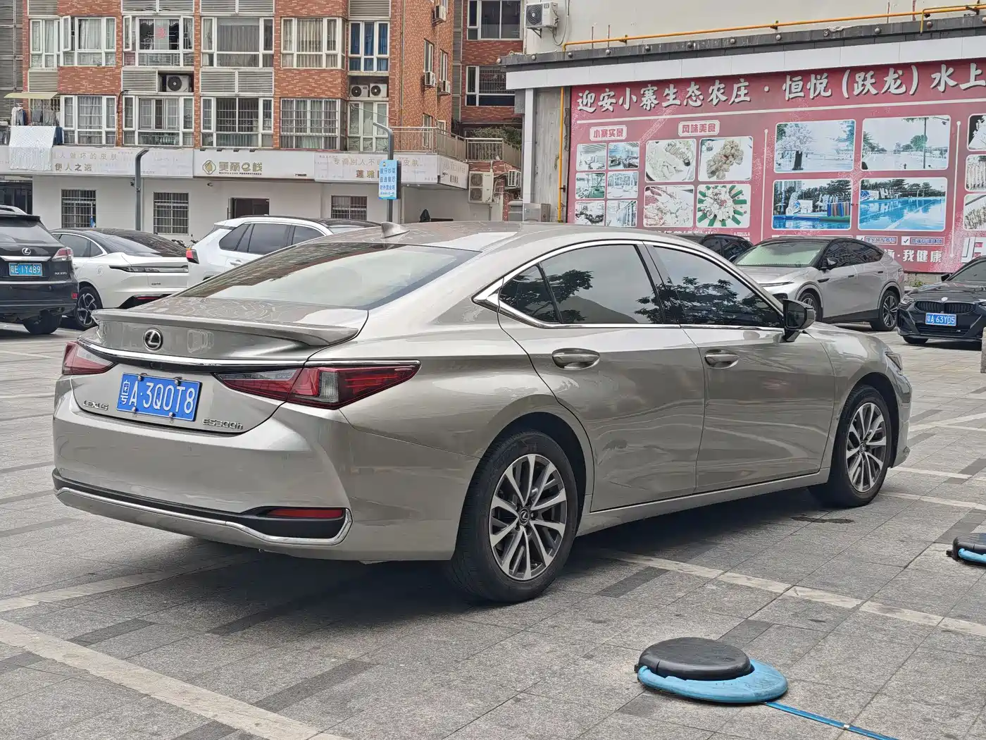 Lexus ES 2022 300h Excellence Edition фото 4