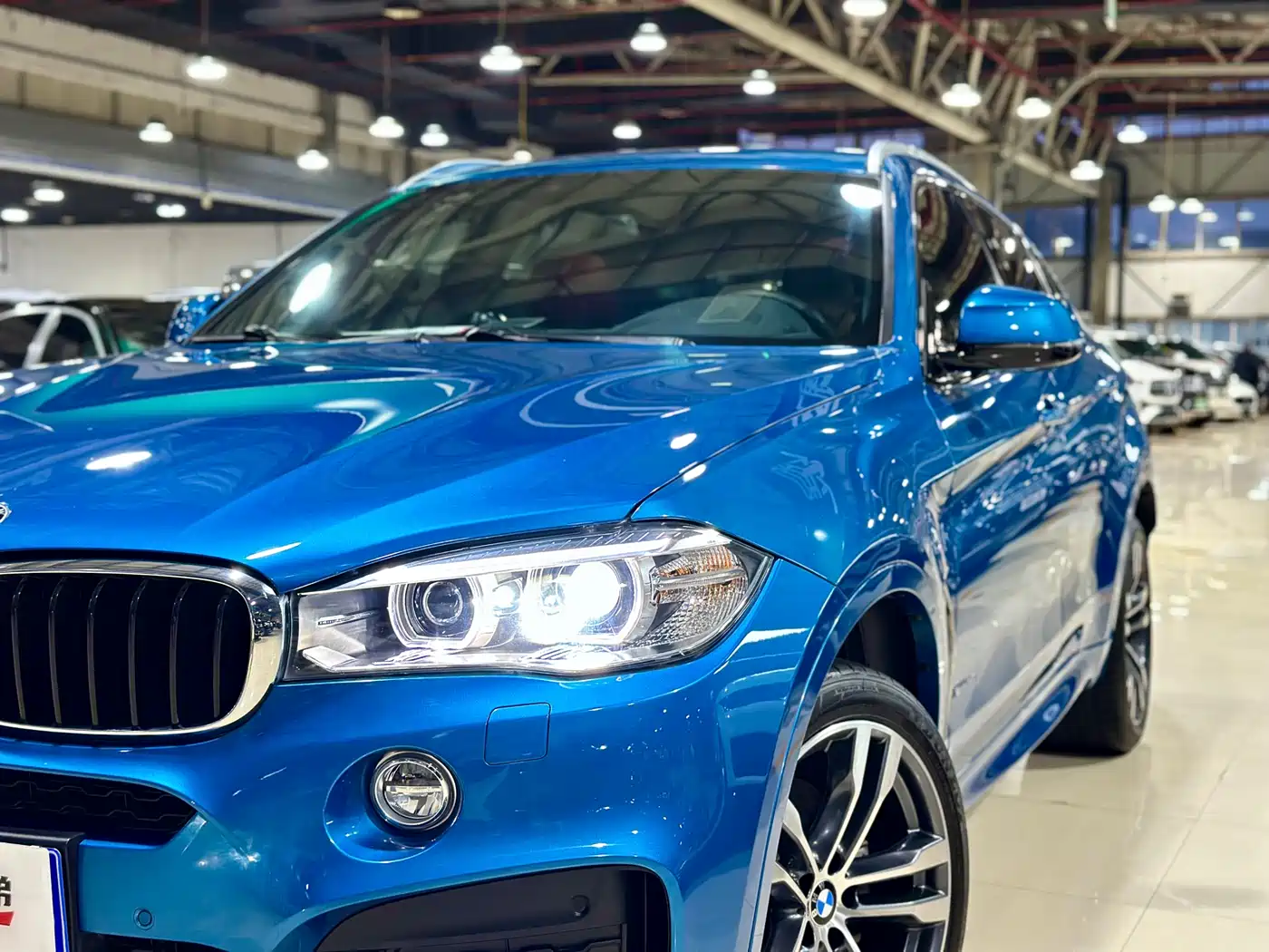 BMW X6 2017 xDrive35i M Luxury Sport фото 3
