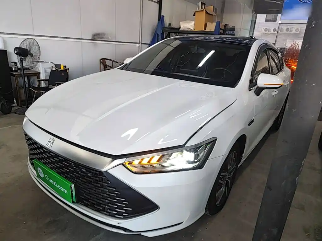 BYD Qin PLUS 2021