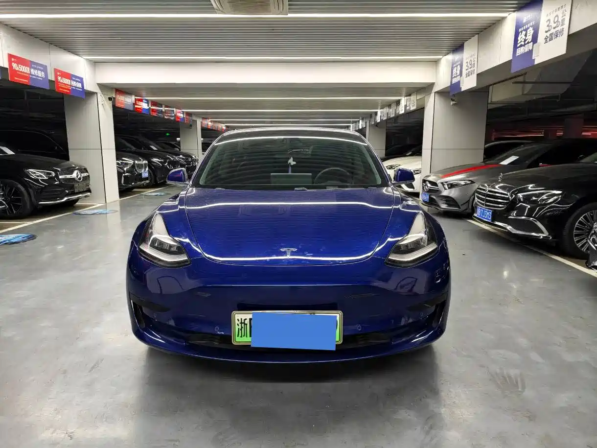 Tesla Model 3 2020 Standard Range Rear-Wheel Drive Upgrade фото 2