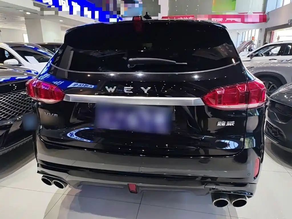 WEY VV6 2019 2018 2.0T 2WD Super Luxury China V