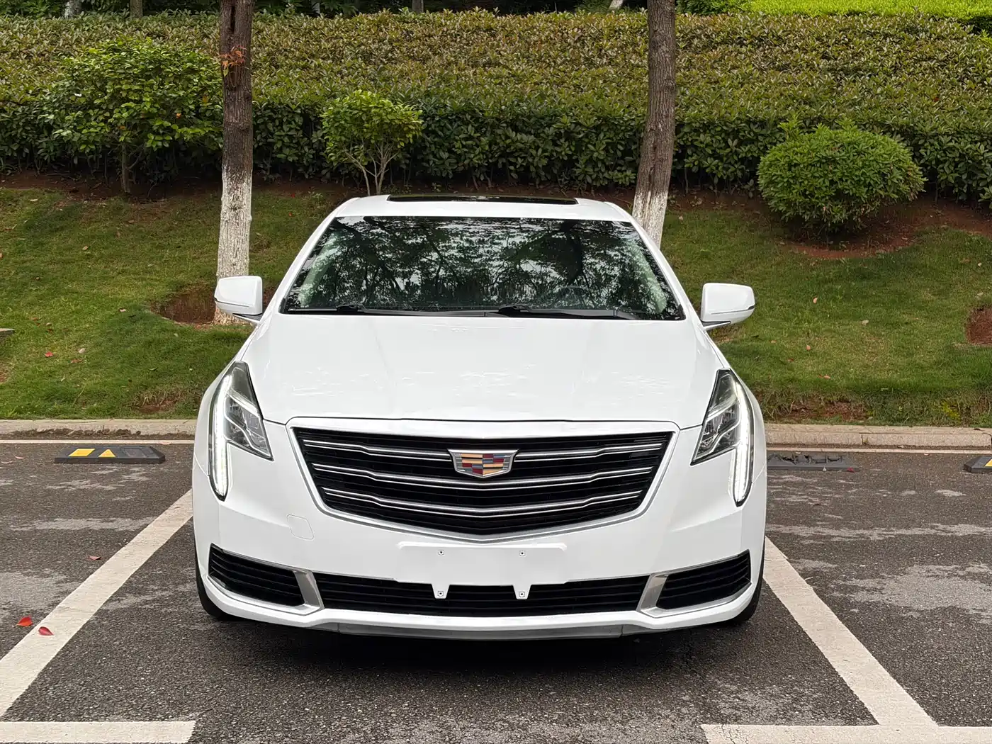 Cadillac XTS 2018 28T Elite фото 2