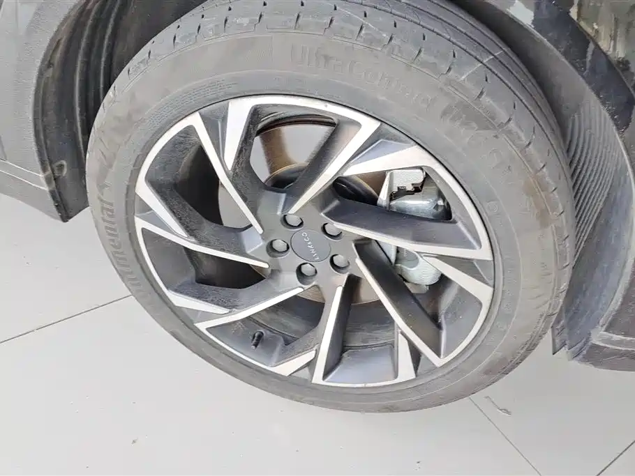 Lynk & Co 09 EM-P 2021 2.0T PHEV Halo 6-seater фото 6