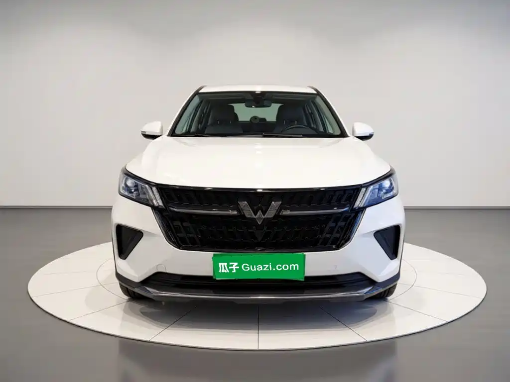 Wuling Motors Wuling Xingchen 2023 2022 2.0L DHT Electric Power Edition