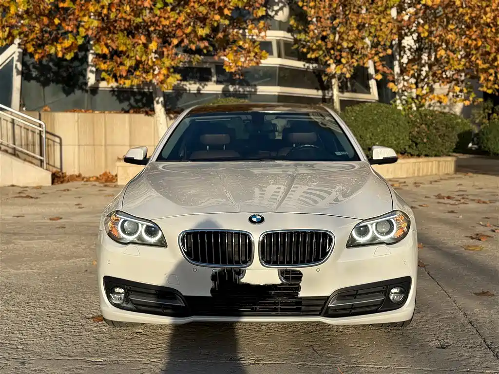 BMW 5 Series 2017 525Li Leading Edition фото 10