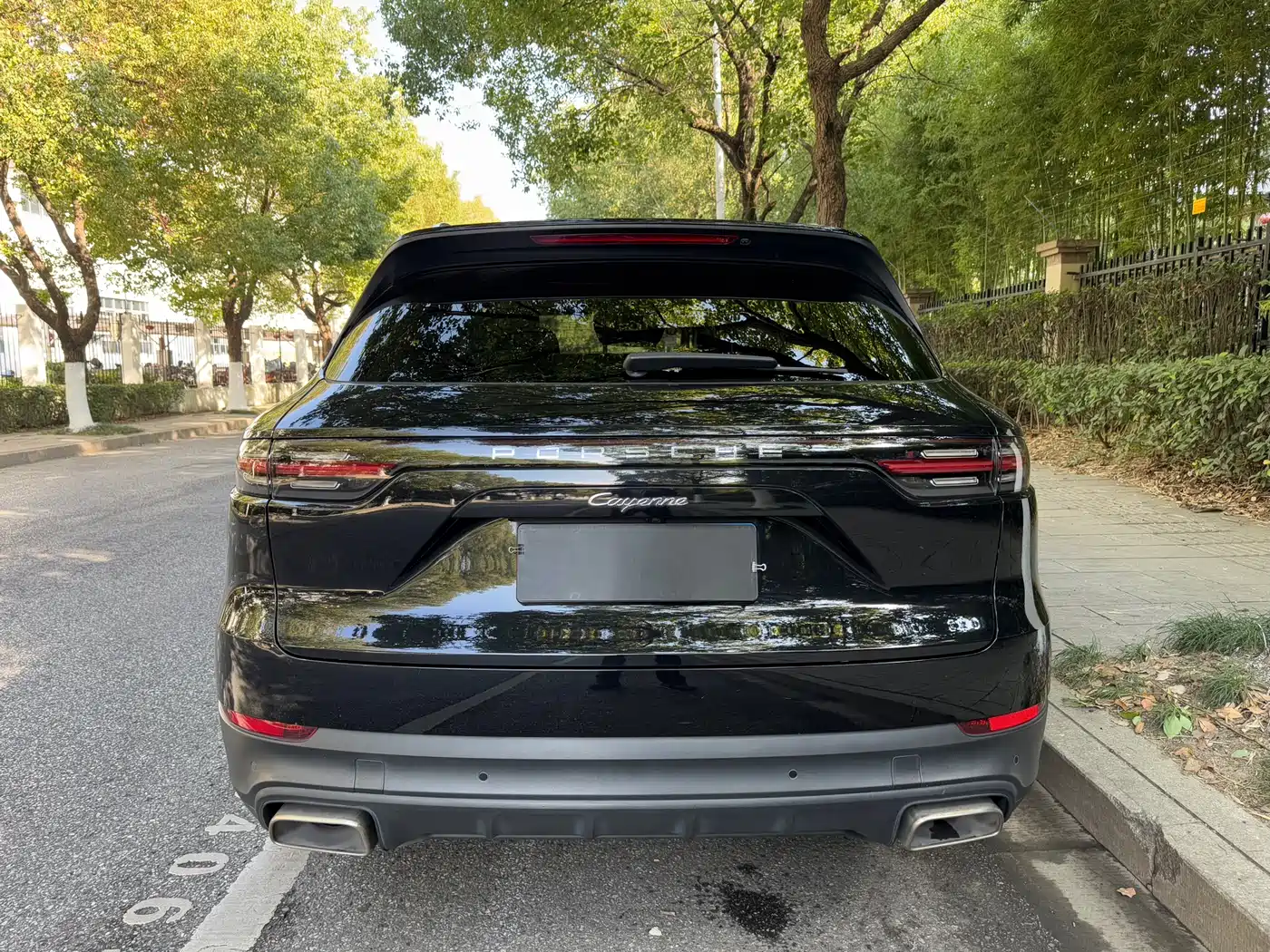 Porsche Cayenne 2019 Cayenne 3.0T фото 5