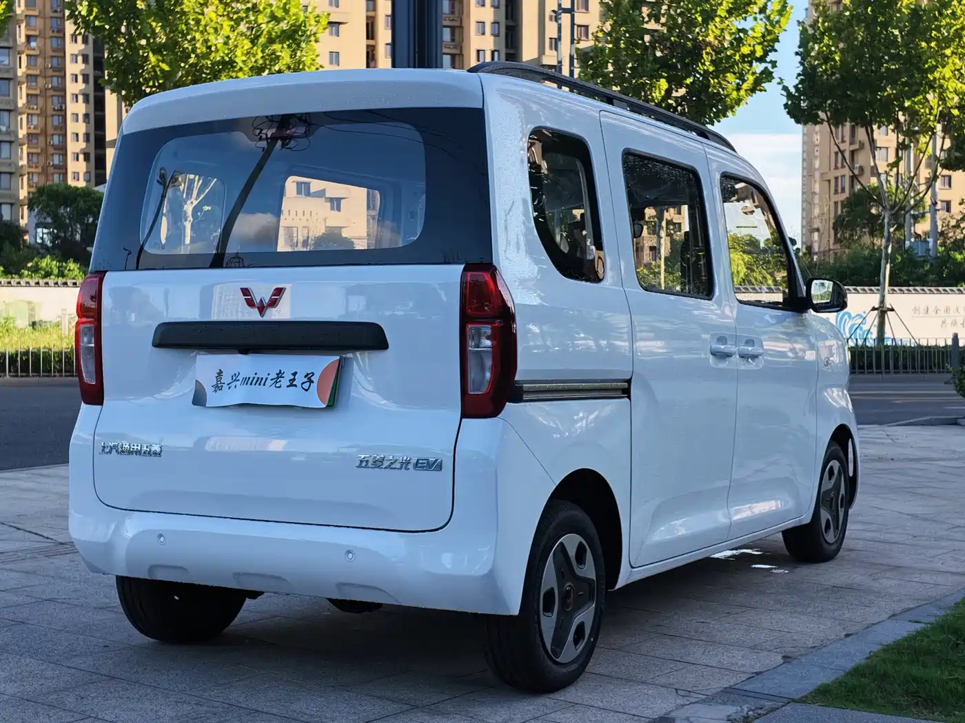 Wuling Motors Wuling Zhiguang NEV 2026 2025 Model 305km Base Version